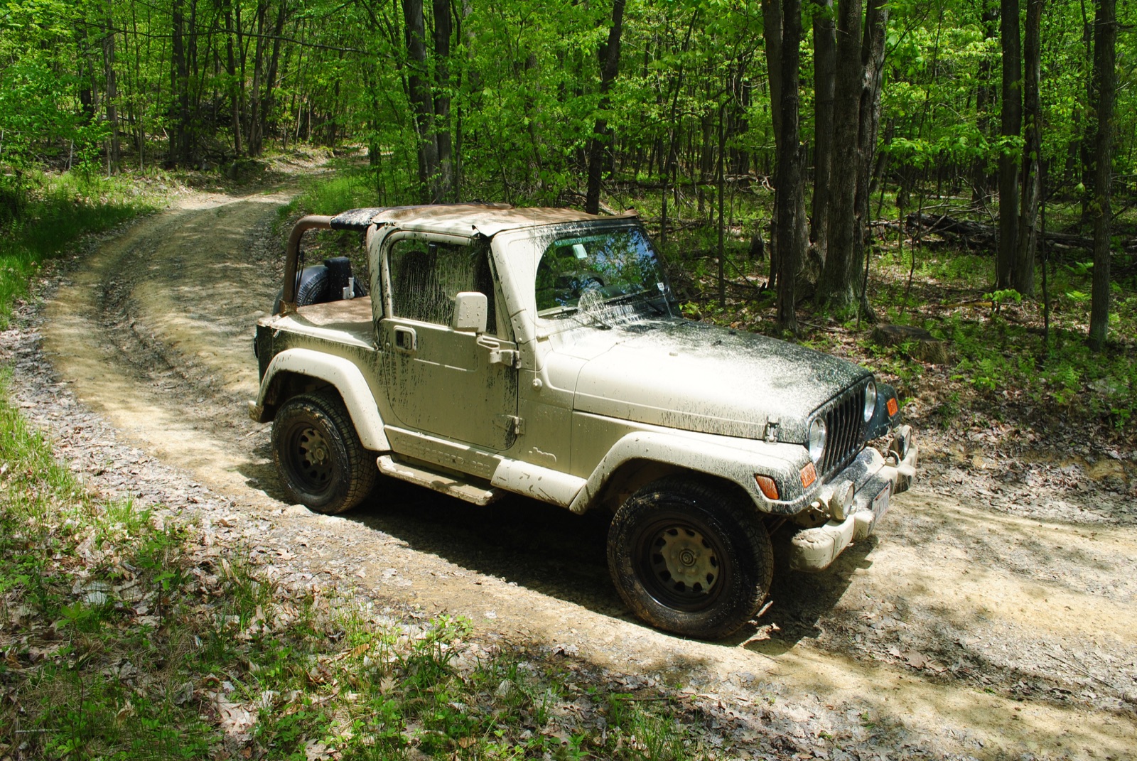 Open-air Jeep Wrangler Sahara on a wooded trail